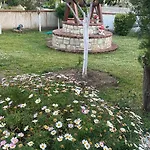Natyra * Zverneci